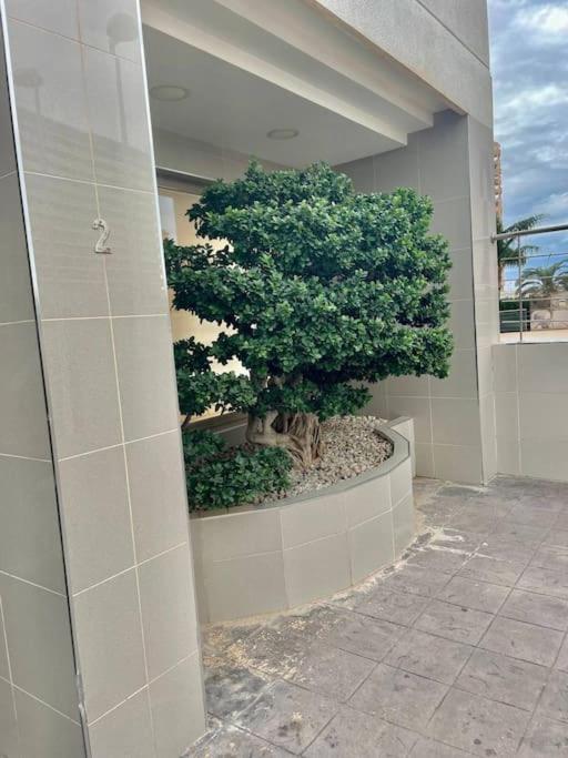 Enjoy Apartment, 5 Minutos De La Playa, Planta Alta Calpe